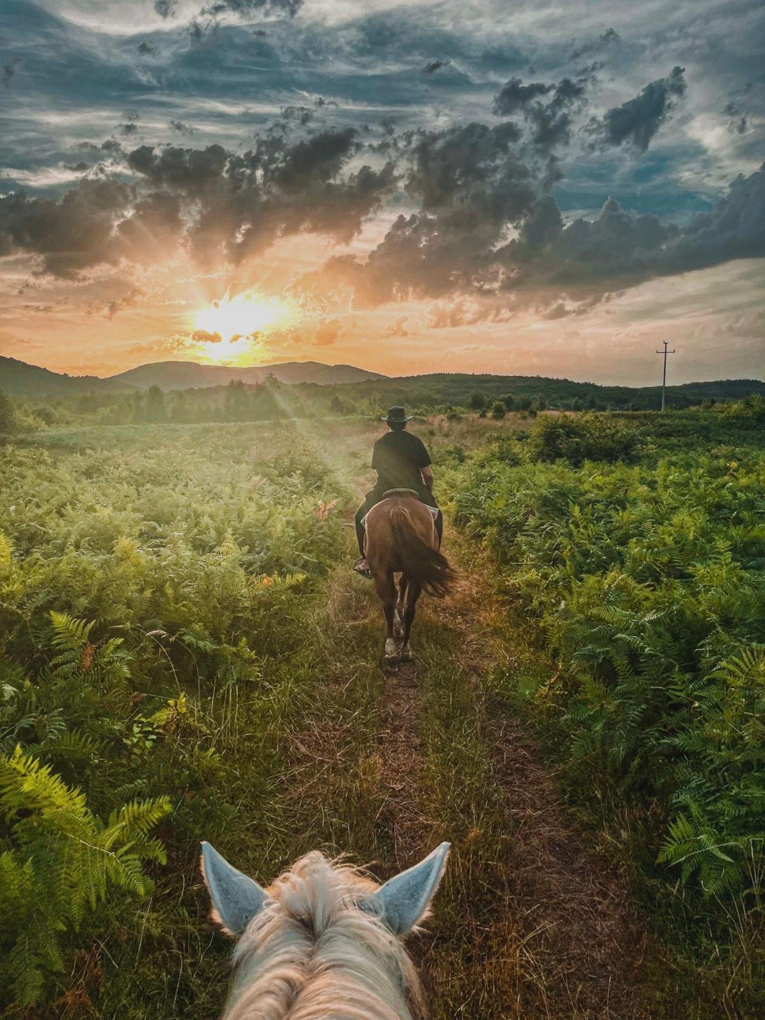 Ranch Terra 호텔 아리리노빅 외부 사진